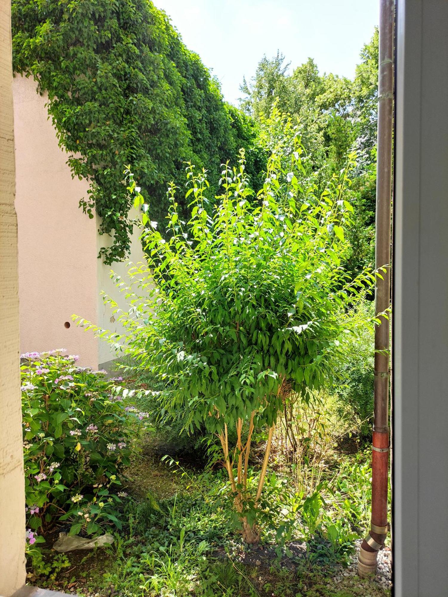 Exklusive Wohnung mit Kingsize-Bett I 75qm I am See I Netflix I gratis Kaffee&Teeangebot Chemnitz Exterior foto